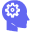 Imaginary Programming
